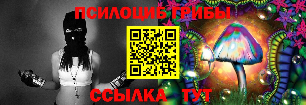 Галлюциногенные грибы Psilocybe  Вход с VPN  Сибай  Псилоцибиновые грибы Cubensis 
